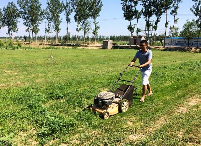 孩子们的乐园他要做万千孩子的「田妈妈」冰球突破豪华版把30多个城郊农场爆改成(图9)
