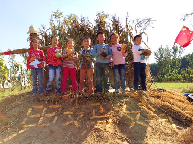 孩子们的乐园他要做万千孩子的「田妈妈」冰球突破豪华版把30多个城郊农场爆改成(图12)