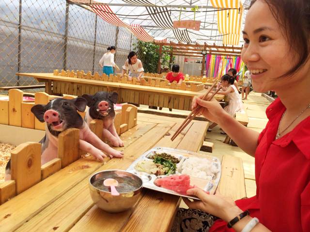 孩子们的乐园他要做万千孩子的「田妈妈」冰球突破豪华版把30多个城郊农场爆改成(图20)